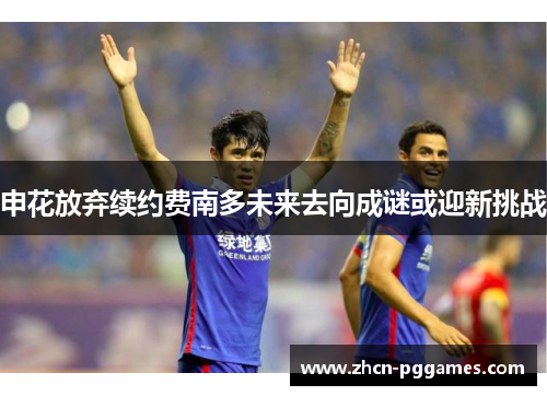 申花放弃续约费南多未来去向成谜或迎新挑战