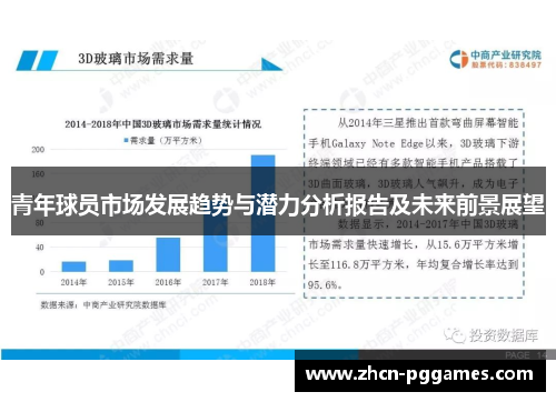 青年球员市场发展趋势与潜力分析报告及未来前景展望