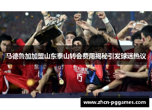 马德鲁加加盟山东泰山转会费用揭秘引发球迷热议