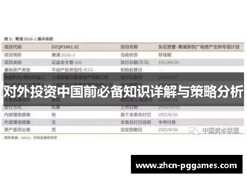 对外投资中国前必备知识详解与策略分析