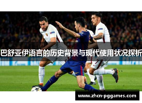 巴舒亚伊语言的历史背景与现代使用状况探析